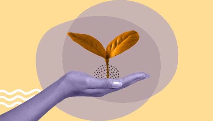 Montagem: uma mão segurando um ramo de planta.
