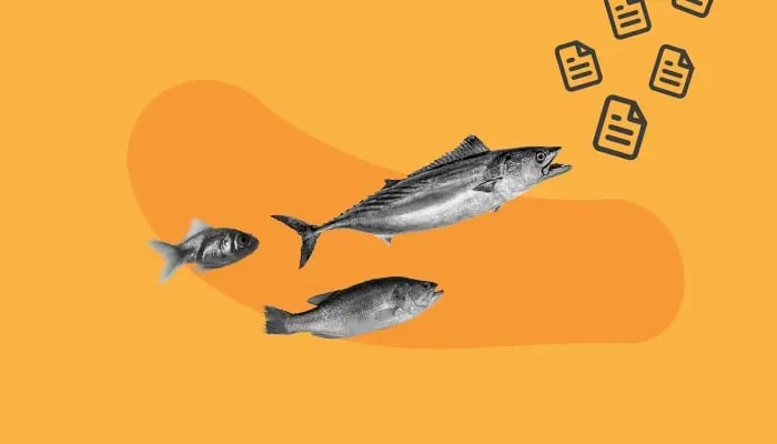 Por que o blog é essencial para aquisição orgânica?